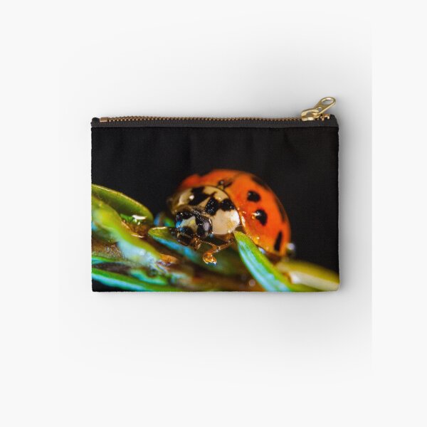 Item preview, My world macro - Ladybug designed and sold by Wizi-Top.