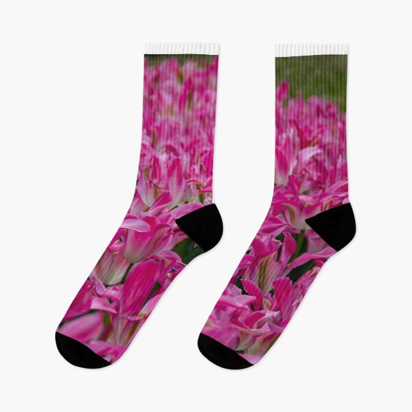Item preview, Field of pink tuplips designed and sold by Shizenkai.