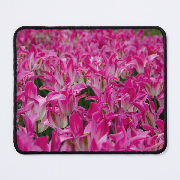 Item preview, Field of pink tuplips designed and sold by Shizenkai.