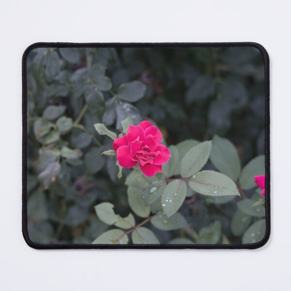 Item preview, Red roses and graying leaves designed and sold by Shizenkai.