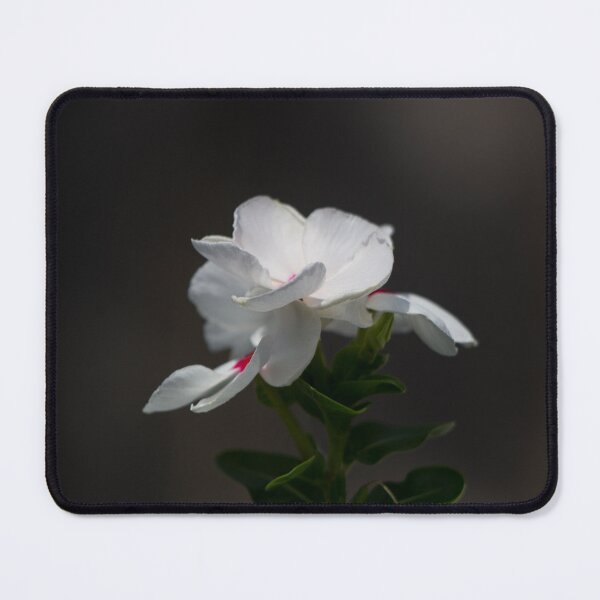 Item preview, White magnolia flower designed and sold by Shizenkai.