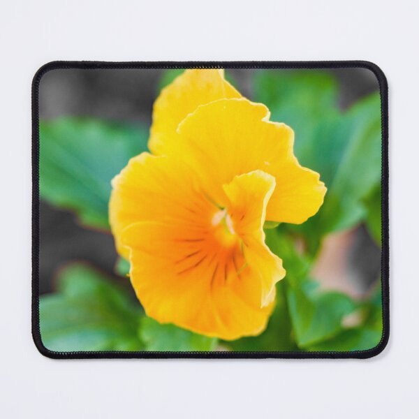 Item preview, Yellow and orange flower designed and sold by Shizenkai.