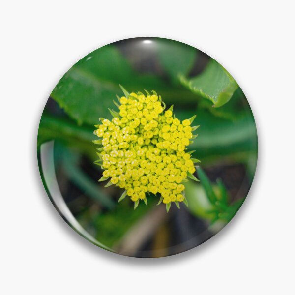 Item preview, Bright yellow flower designed and sold by Shizenkai.