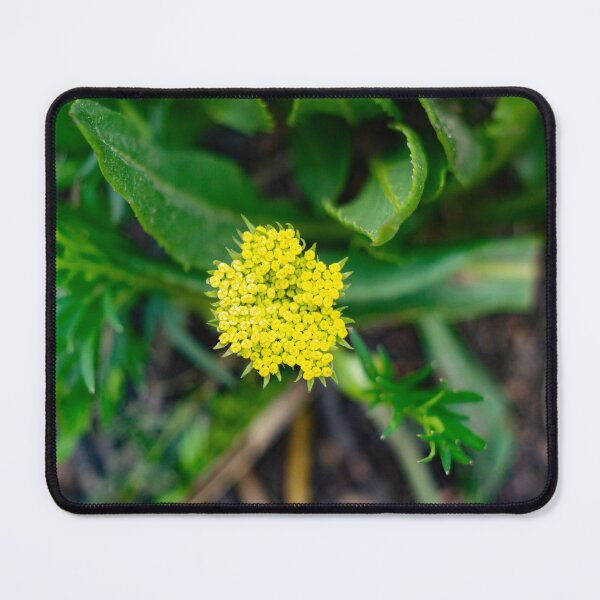 Item preview, Bright yellow flower designed and sold by Shizenkai.