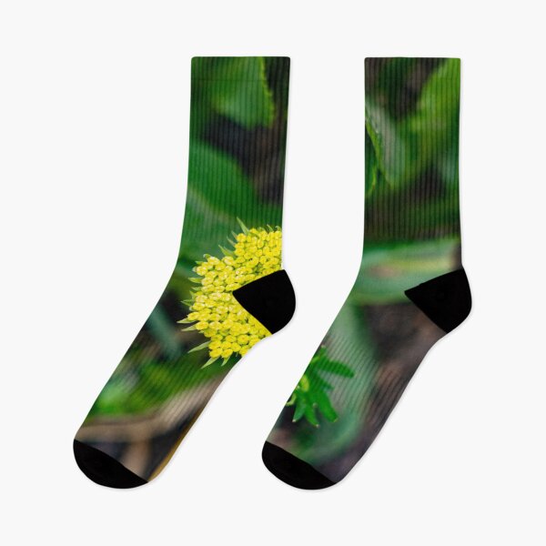 Item preview, Bright yellow flower designed and sold by Shizenkai.
