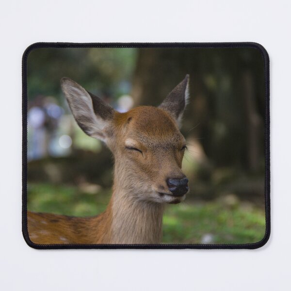 Item preview, Sleeping baby deer designed and sold by Shizenkai.