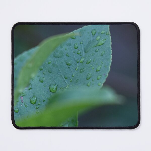 Item preview, Dew on a leaf designed and sold by Shizenkai.