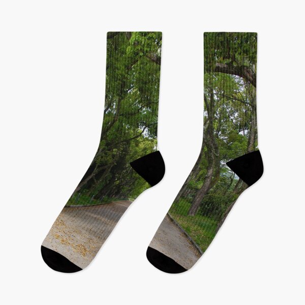 Item preview, Path in the forest designed and sold by Shizenkai.