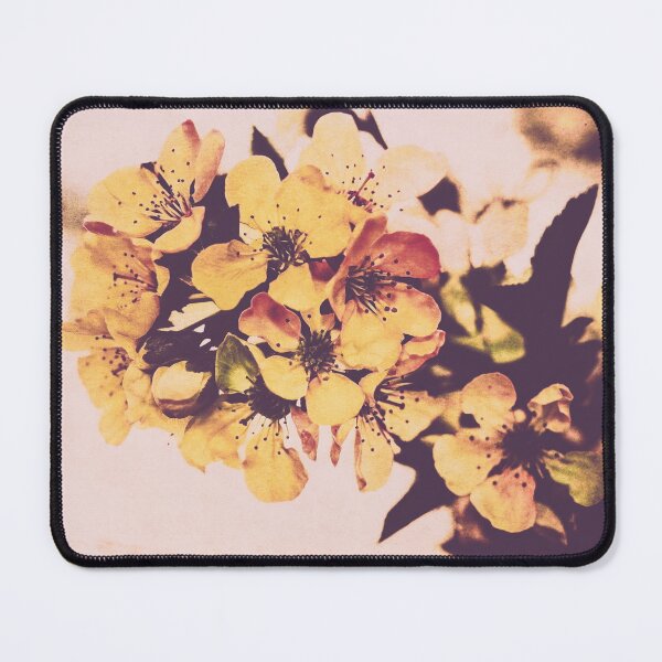 Item preview, Springtime Up North Nostalgia I Vintage Inspired Cherry Blossoms designed and sold by KEnzPhotography.