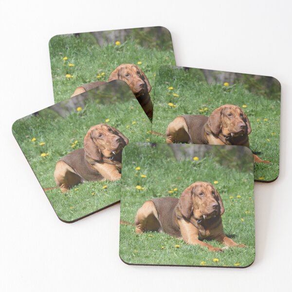 Item preview, Cute pup in the sun designed and sold by Shyenne  Moran.