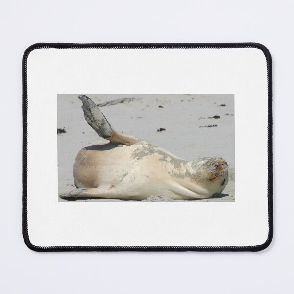Item preview, flat out designed and sold by Trish Threlfall.