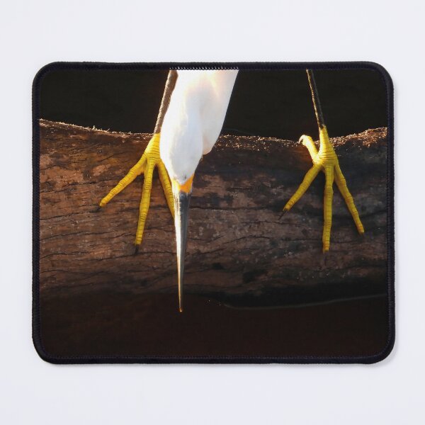 Item preview, Snowy Egret 5 designed and sold by Jeffrey Mask.