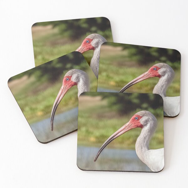 Item preview, White Ibis 2 designed and sold by Jeffrey Mask.