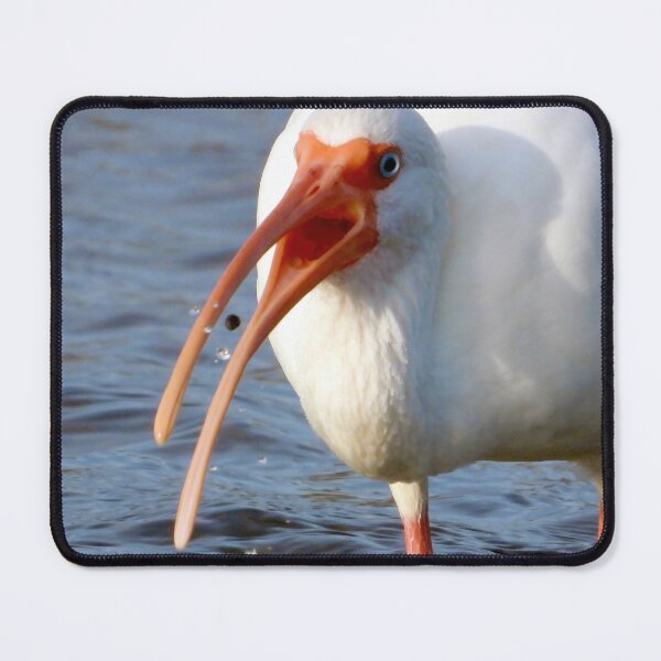 Item preview, White Ibis 3 designed and sold by Jeffrey Mask.