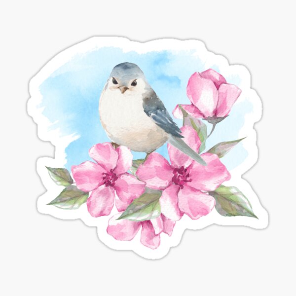 Premium Vector  Spring bird sticker set