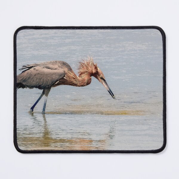 Item preview, Reddish Egret 1 designed and sold by Jeffrey Mask.