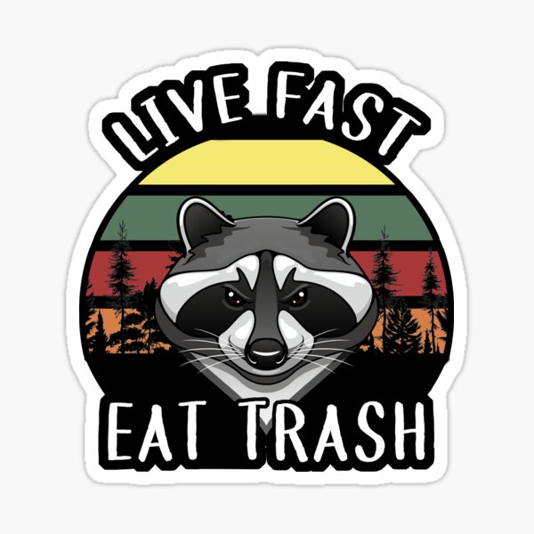 Live fast, eat trash raccoon trash panda sticker – Big Moods