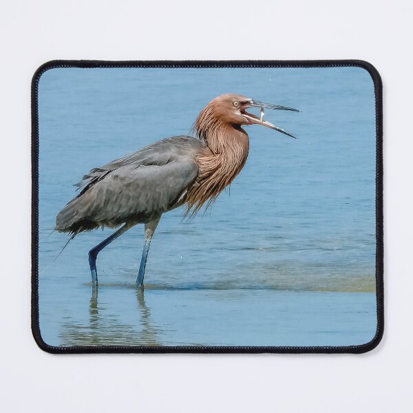 Item preview, Reddish Egret 2 designed and sold by Jeffrey Mask.