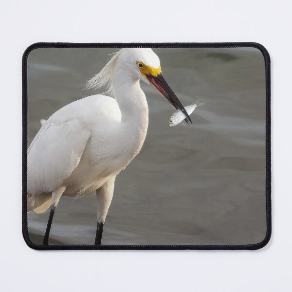 Item preview, Snowy Egret 6 designed and sold by Jeffrey Mask.
