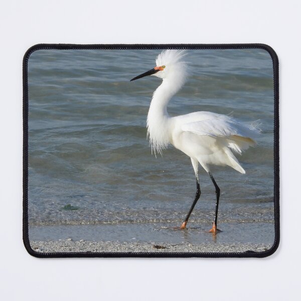 Item preview, Reddish Egret 3 designed and sold by Jeffrey Mask.