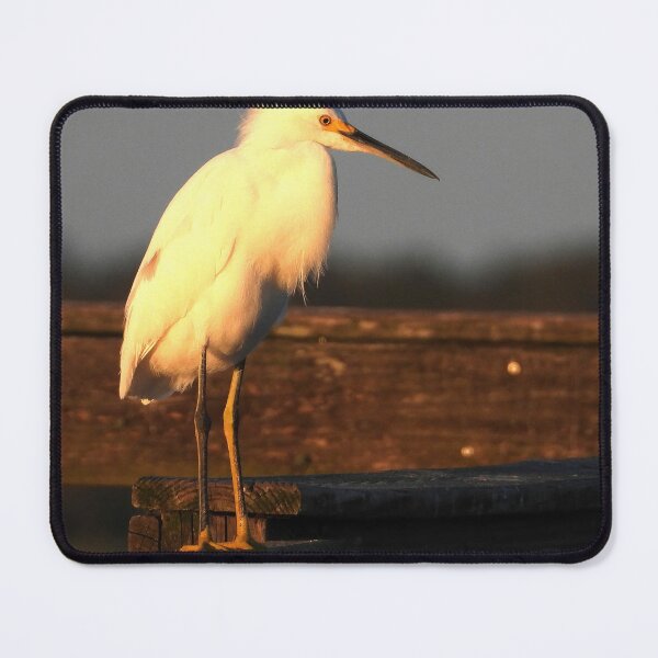 Item preview, Snowy Egret 7 designed and sold by Jeffrey Mask.