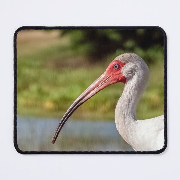 Item preview, White Ibis 2 designed and sold by Jeffrey Mask.