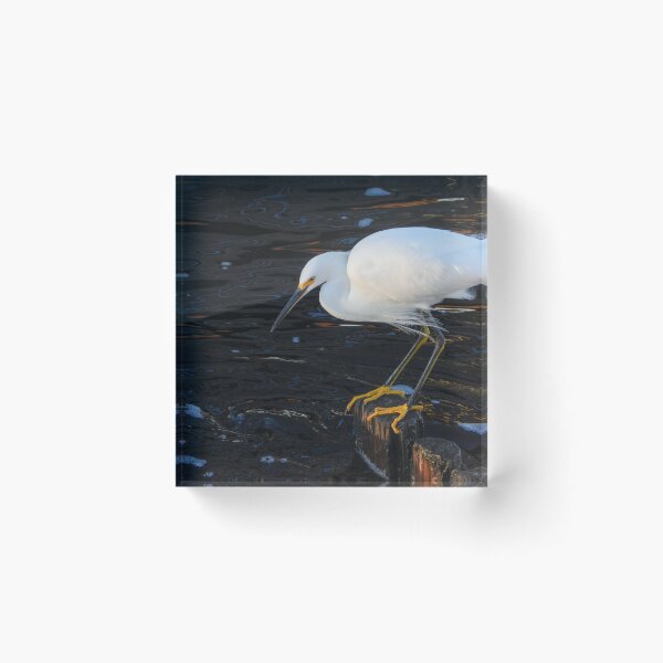 Item preview, Snowy Egret 8 designed and sold by Jeffrey Mask.