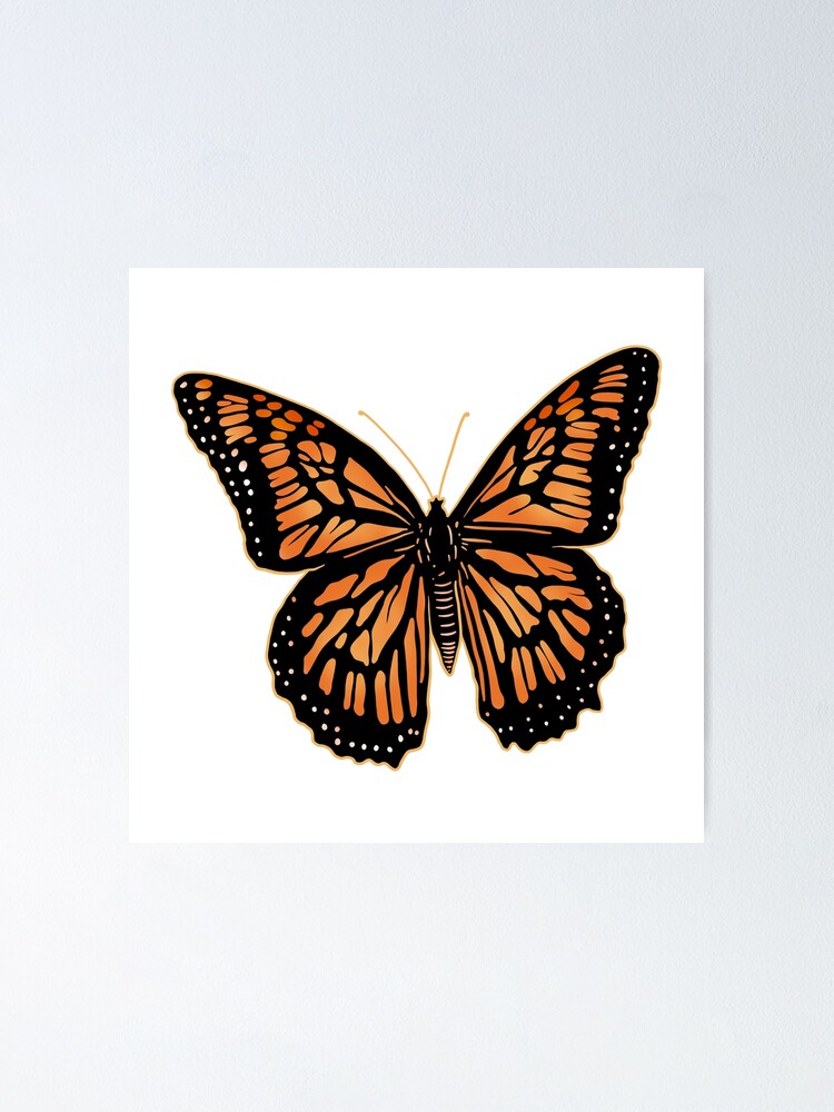 Top view of beautiful monarch butterfly, sketch illustration isolated on  white background. color Realistic hand drawing of monarch butterfly on  white Stock Vector Image & Art - Alamy