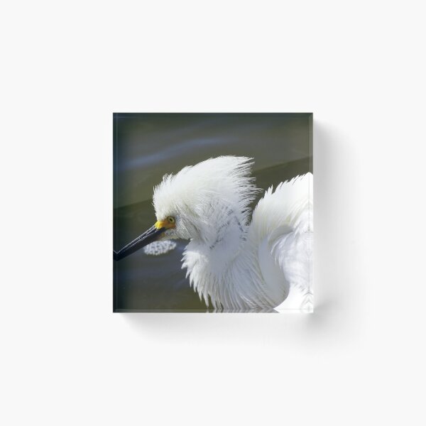 Item preview, Snowy Egret 10 designed and sold by Jeffrey Mask.