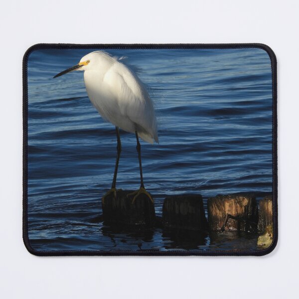 Item preview, Snowy Egret 11 designed and sold by Jeffrey Mask.