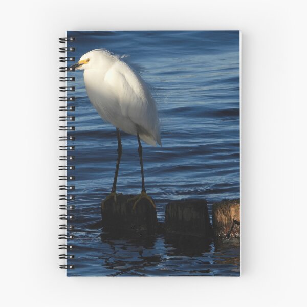 Item preview, Snowy Egret 11 designed and sold by Jeffrey Mask.