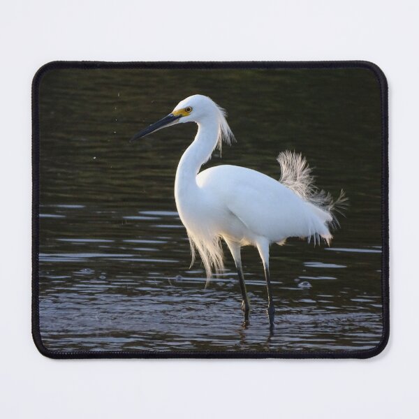 Item preview, Snowy Egret 12 designed and sold by Jeffrey Mask.