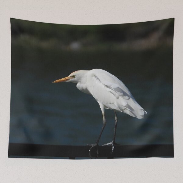 Item preview, Cattle Egret 2 designed and sold by Jeffrey Mask.
