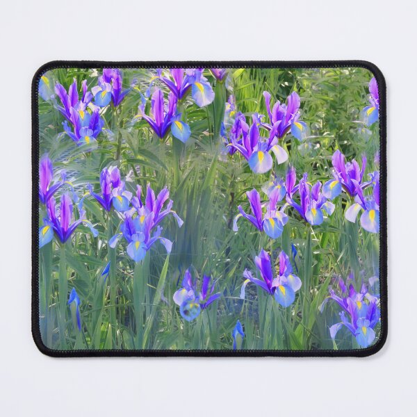 Item preview, Irises designed and sold by Alisonchambers2.