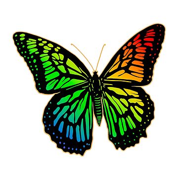 Hand drawn sketch of butterfly in color. Isolated on white background.  Drawing for posters, decoration and print. Vector illustration Stock Vector  Image & Art - Alamy