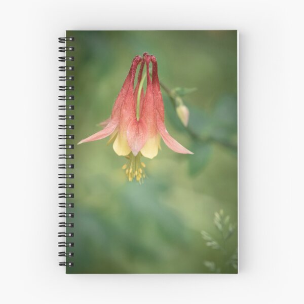 Item preview, Migrant Columbine designed and sold by MarjorieB.