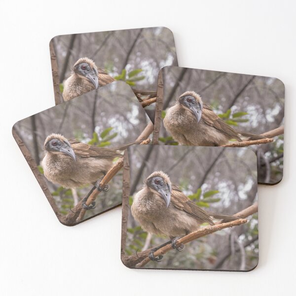 Item preview, Helmeted Friar Bird designed and sold by Geoff Wols.