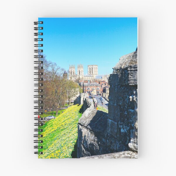 Item preview, York Minster designed and sold by Alisonchambers2.