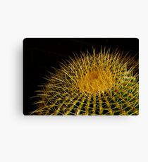 A Little Ray of Sunshine Canvas Print