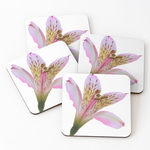Item preview, Pink and white lily flower designed and sold by TheSeasonalYard.