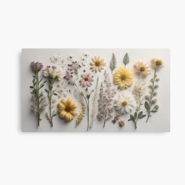 The Delicate Charm of Dried Florals - Pressed Dried flowers on