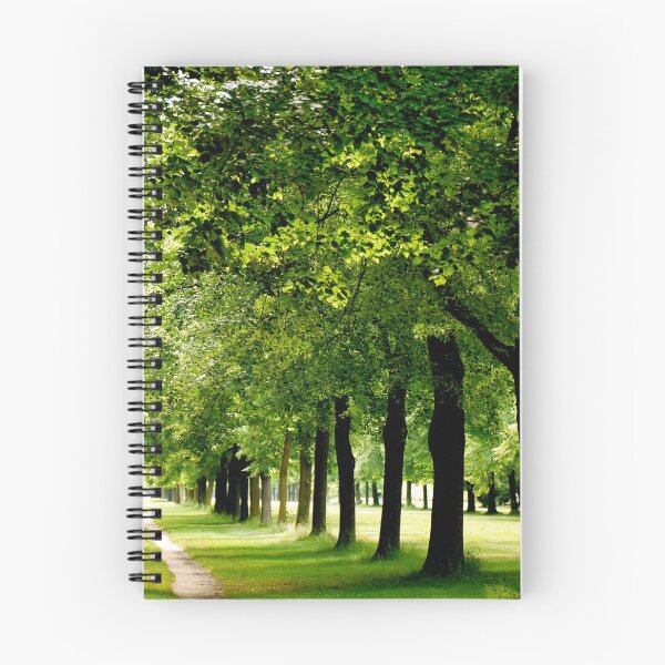 Item preview, Forest Path designed and sold by Rae Tucker Photography & Designs.