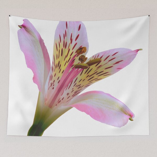 Item preview, Pink and white lily flower designed and sold by TheSeasonalYard.