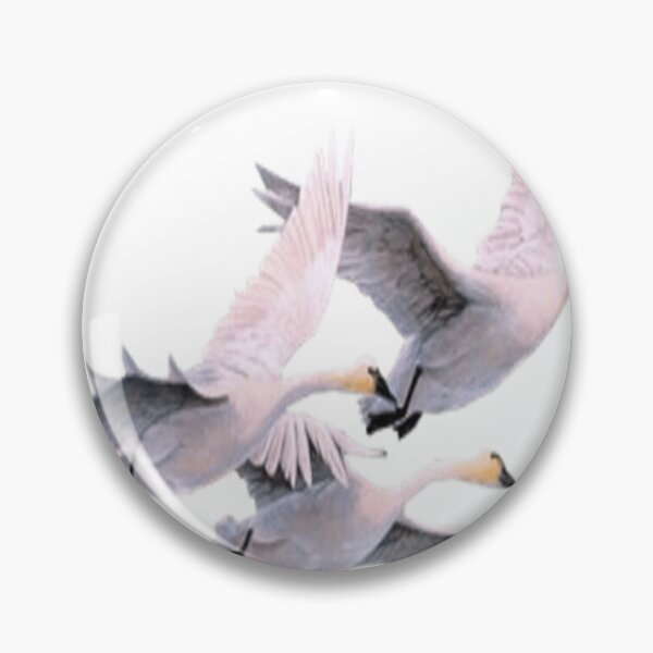 Item preview, three white mallards flying to sky designed and sold by BryceAuer37.