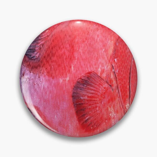 Item preview, American sea red grouper opens mouth designed and sold by BryceAuer37.