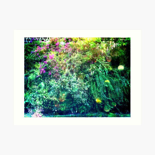 Inside the overgrowth on the side of the school Art Print