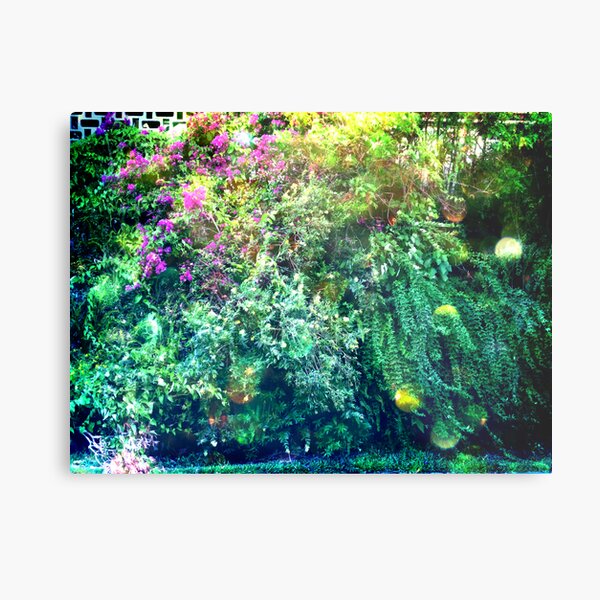 Inside the overgrowth on the side of the school Metal Print