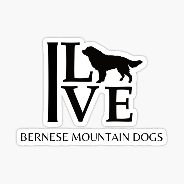 I Love Bernese Mountain Dogs Sticker