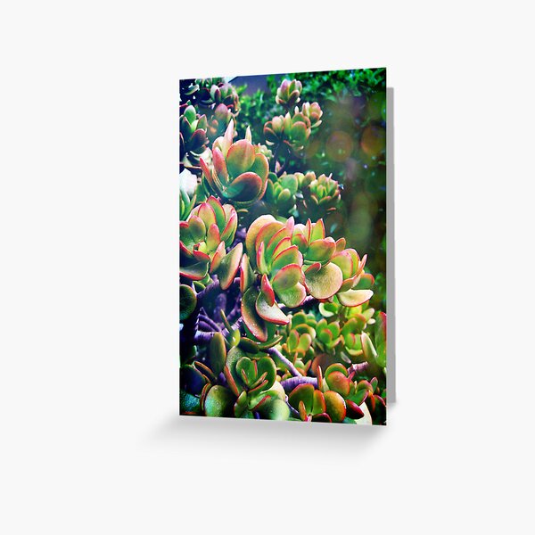 Strangling a wattle Greeting Card