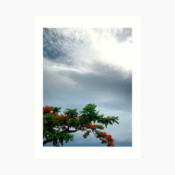 Put the red hankie in the washing machine Art Print